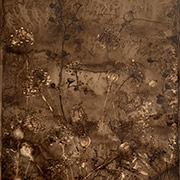 Chong Kang, The Present and the Past Series, Late Fall