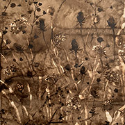 Chong Kang, The Present and the Past Series, Thistles